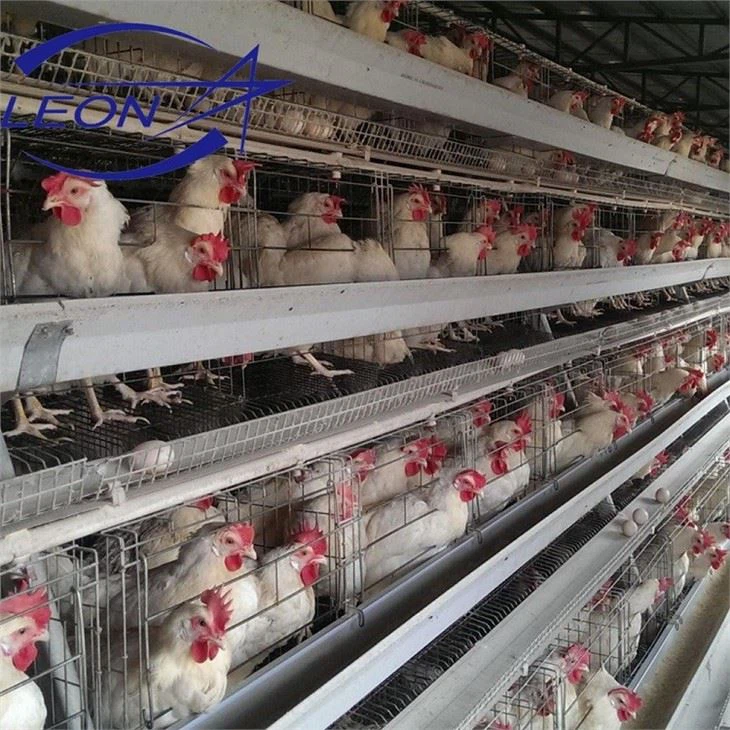 Broiler Cage System Broiler Cage System