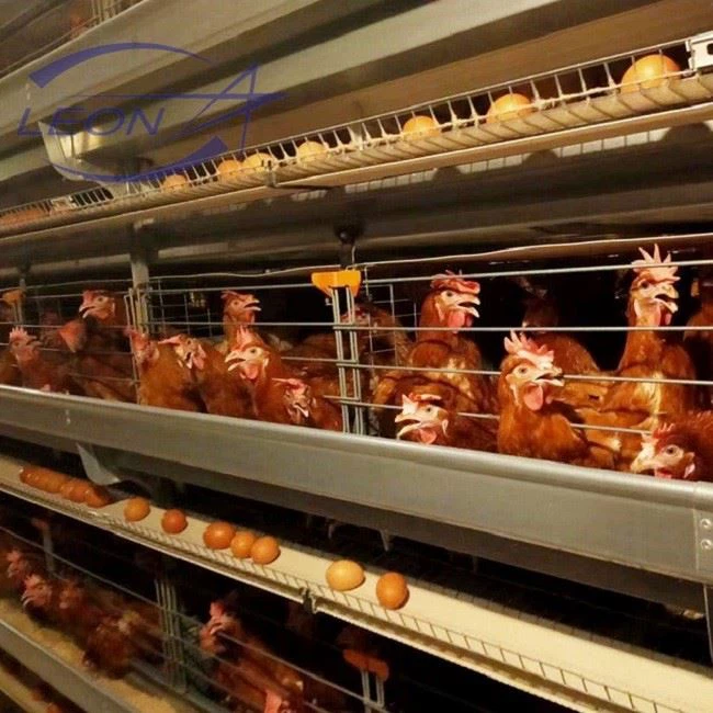 Broiler Cage System Broiler Cage System