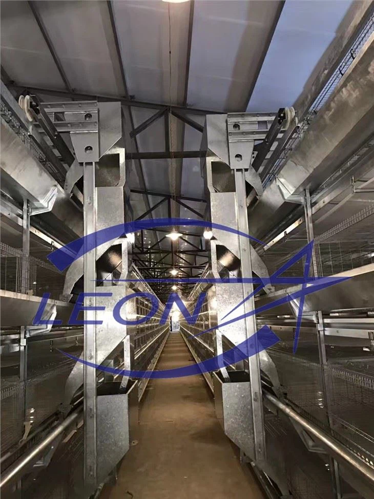 H Type Layer Chicken Cage