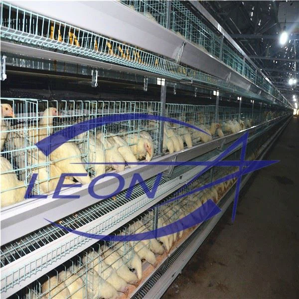 poultry farming equipment