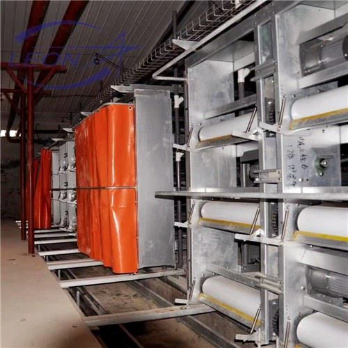 Sturdy Durable H Type Broilers Cage