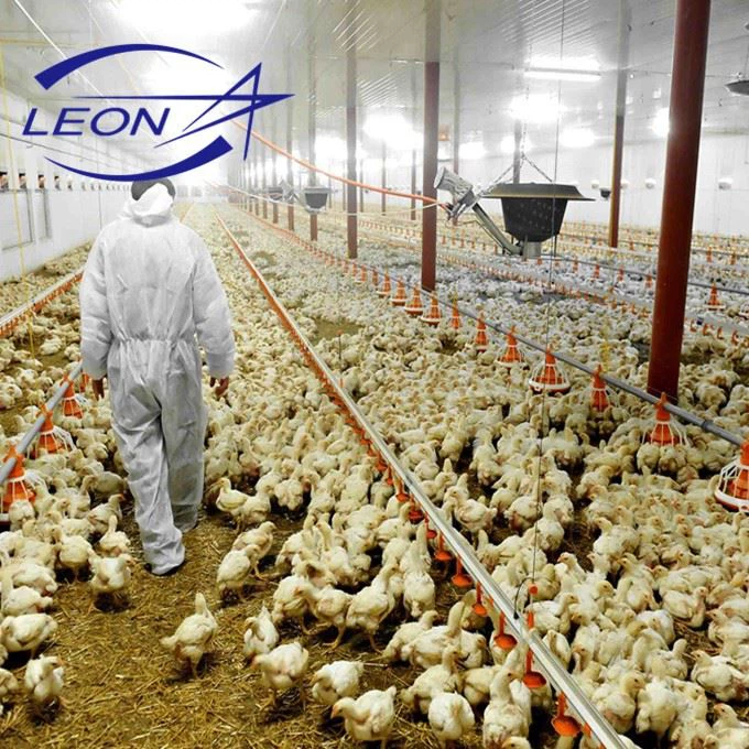 The Latest Model Of Fully Automated Broiler Pan Feeding System in 2021