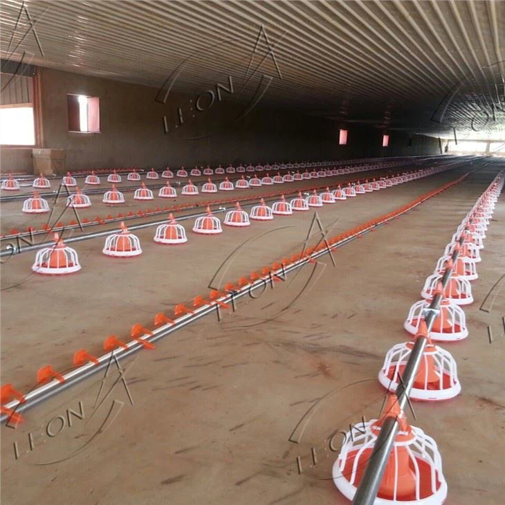 Chicken Floor Raising Broiler Farm House
