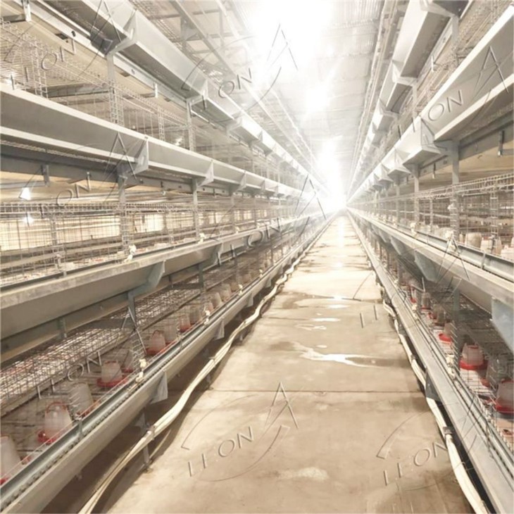 H Type Broilers Cage System